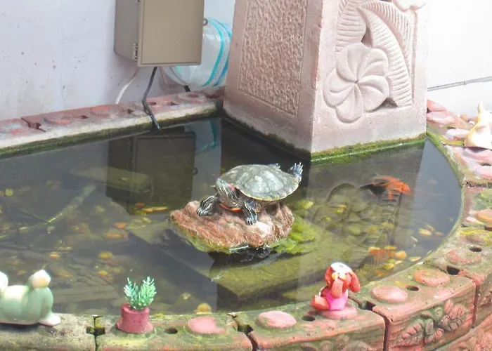 Baan Yim Siam House Ostello